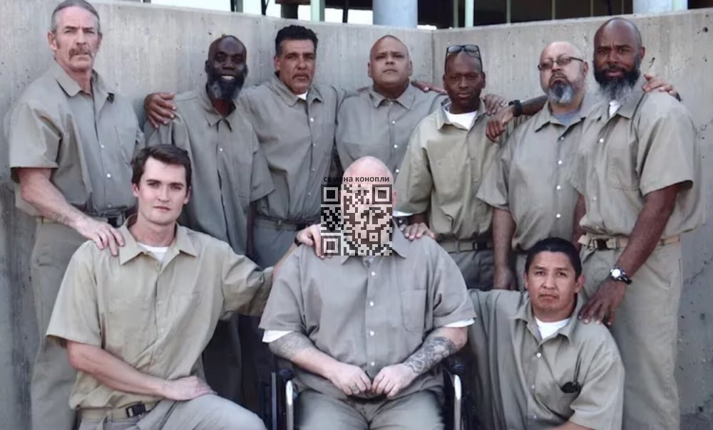 ross-ulbricht.jpg