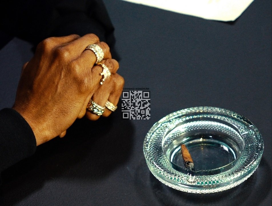 snoop-dogg-cannabis-roach.jpg
