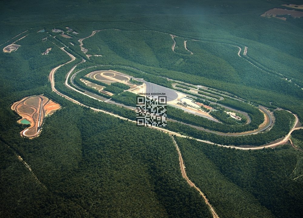 testing-drivers-australia.jpg