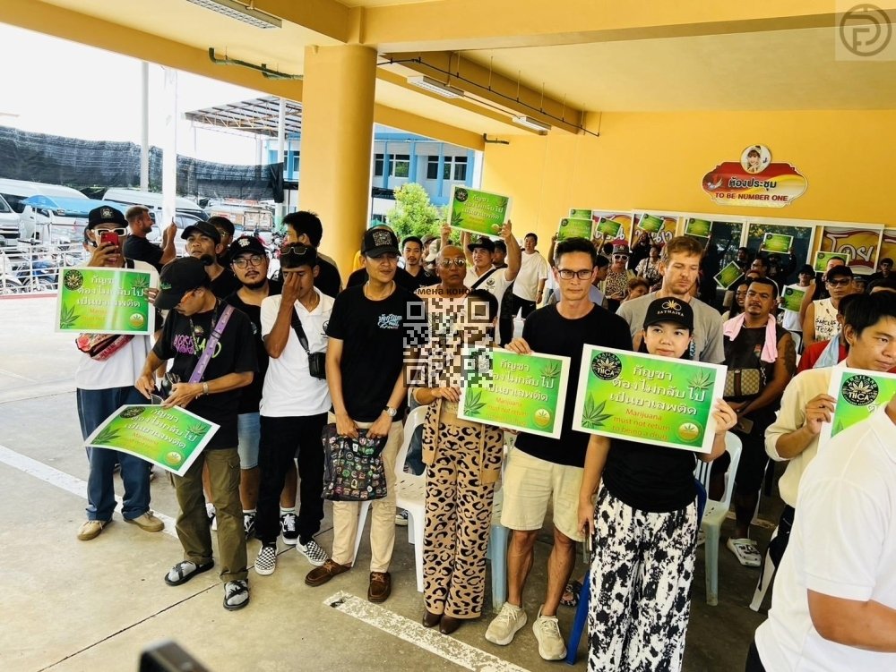 thailand-cannabis-protesters.jpg