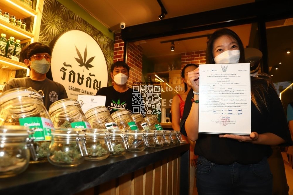 thailand-cannabis-shop.jpg