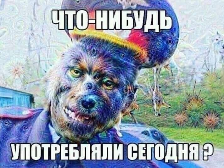 18fd00f8a23d12572ea7f331759cbbb2.jpg.e7c05c68c0e8c4a221d4704f4aba856c.jpg
