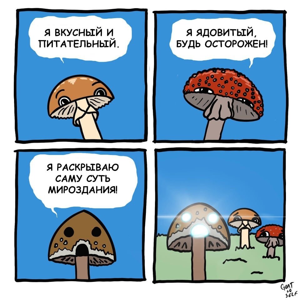 2.jpg.46de227449c2d746698fa7fbc665644f.jpg