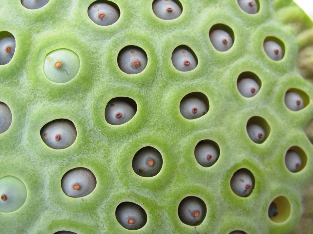 704993.jpg