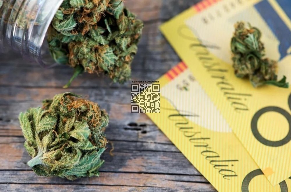 cannabis-australian-dollars.jpg