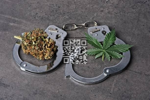 cannabis-handcuffs.jpg