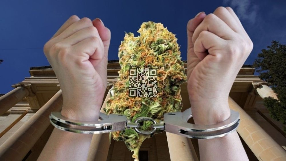 cannabis-handcuffs.jpg