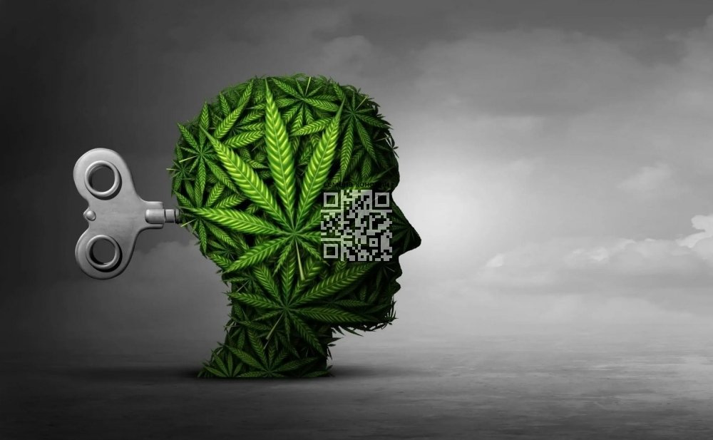 cannabis-head.jpg