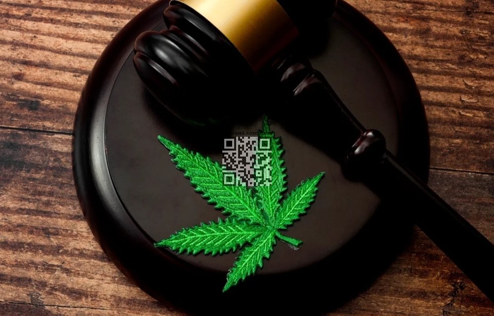 cannabis-legalization-dilemma.jpg
