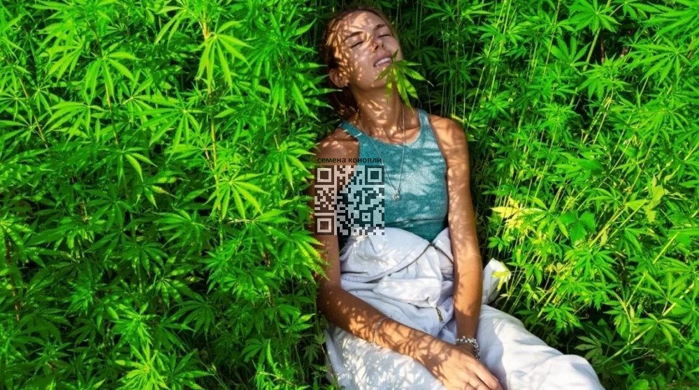 cannabis-use-legalized.jpg