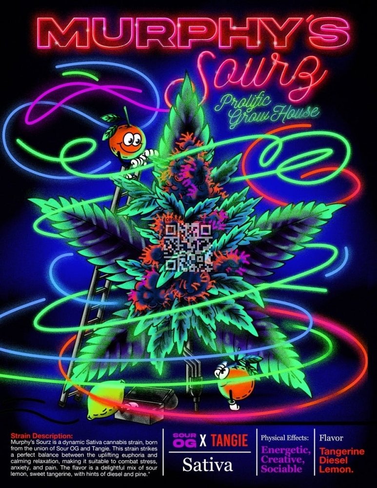 murphys-sourz-package.jpg