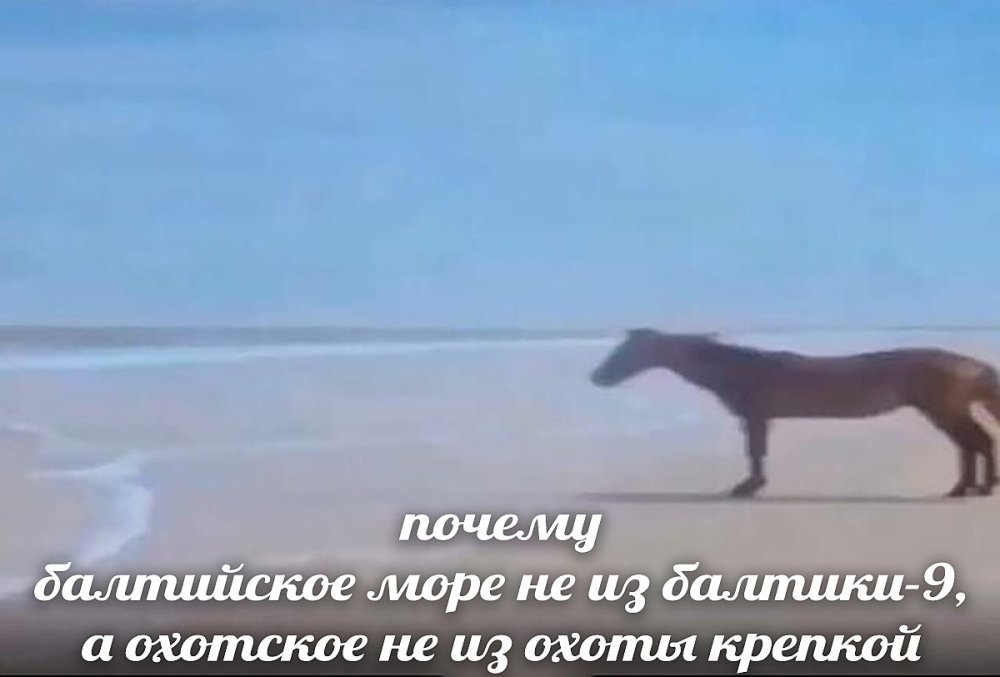 oBDnb-McPnY.thumb.jpg.c4e4c973ef8842295cc5e55c9cbe3331.jpg