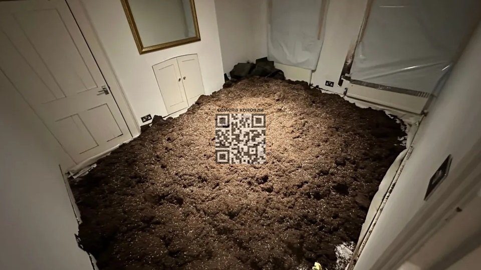 soil-in-bedroom.jpg