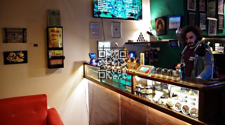 spain-cannabis-club.jpg