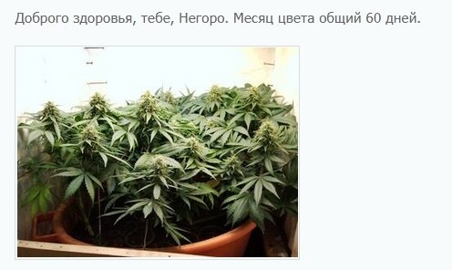 105.jpg.84c18ca0d83ec1903ee212424f273718.jpg