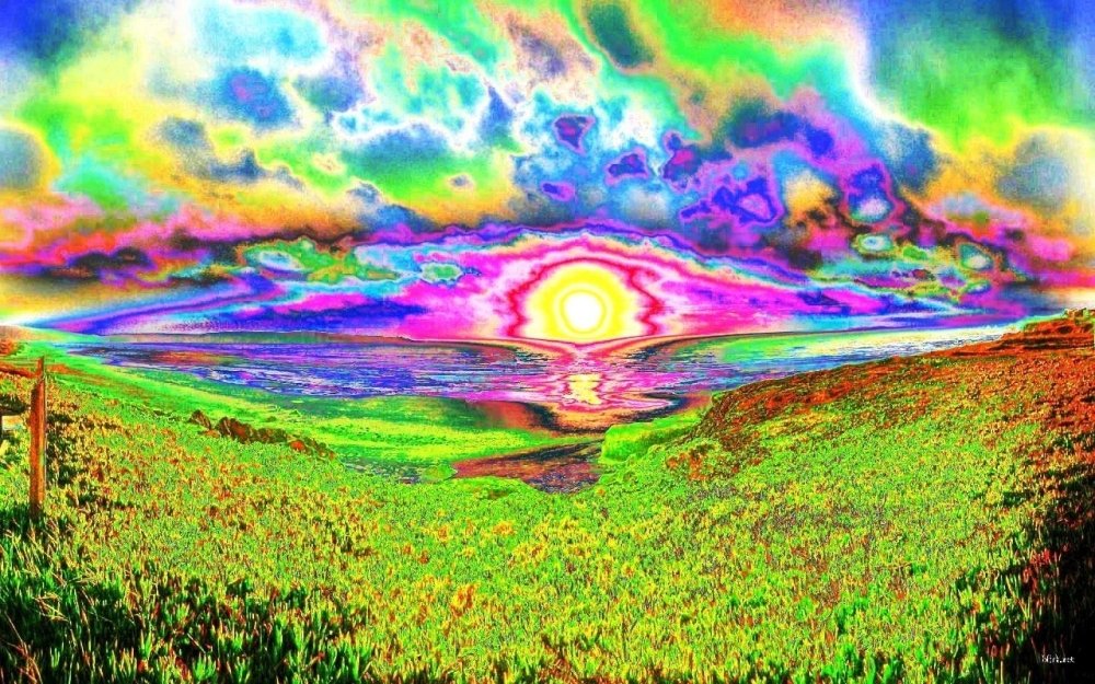 3.thumb.jpg.e6dfc918253c5b49762be96634edc7d9.jpg