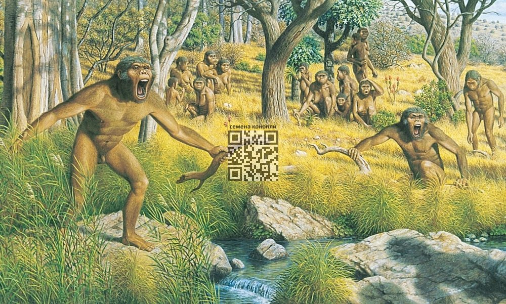 ancient-hominids-savannah.jpg