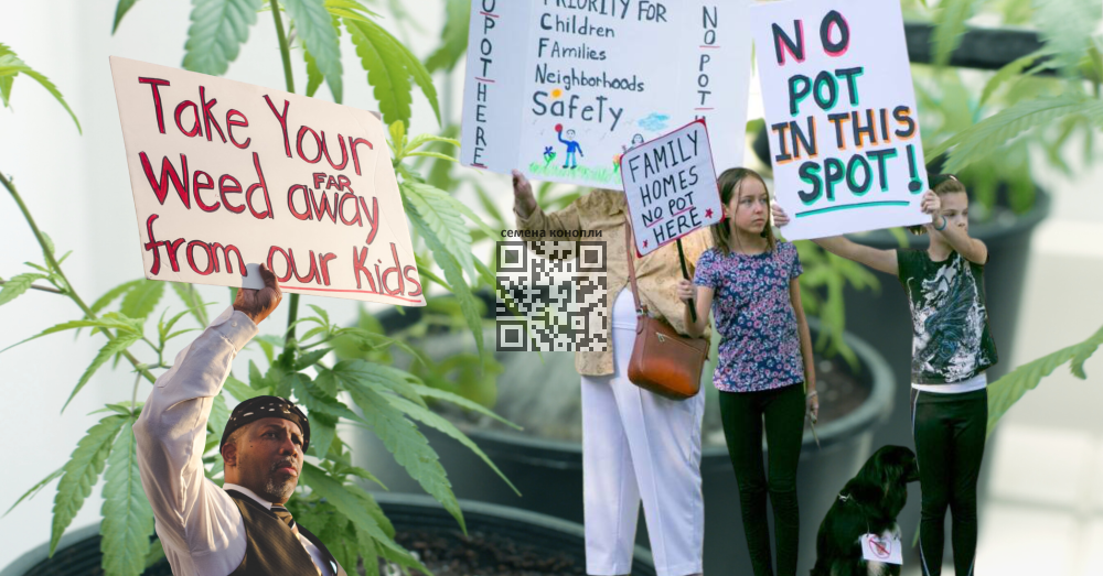 anti-cannabis-activists.png