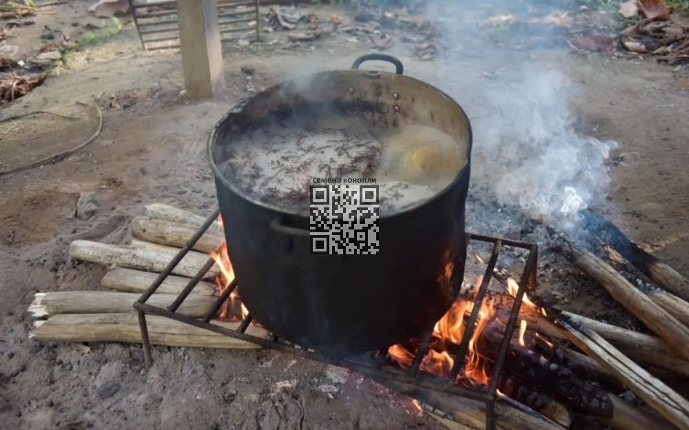 ayahuaska-boiling.jpg
