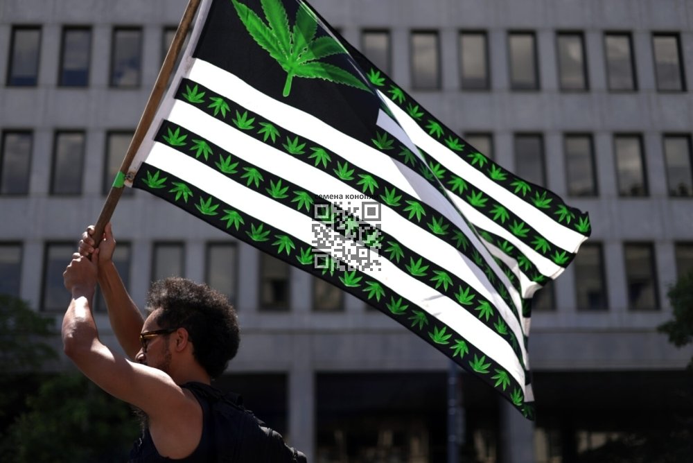 cannabis-activist.jpg