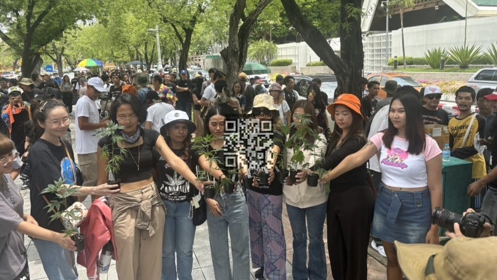 cannabis-activists-thailand.jpg