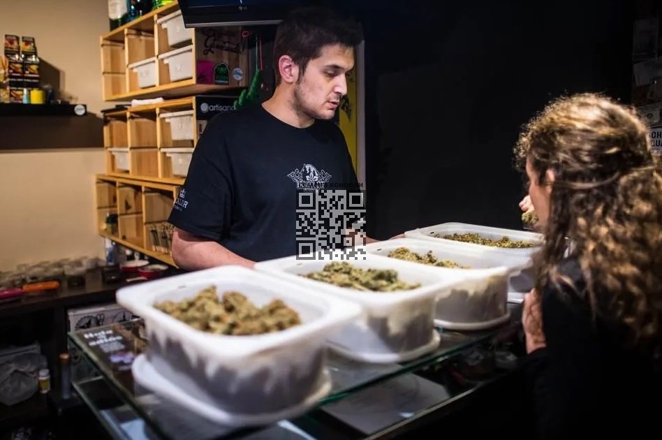 cannabis-club-spain.jpg