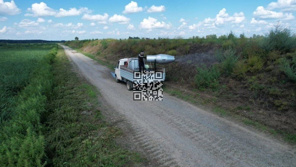 cannabis-killed-herbicide.jpg