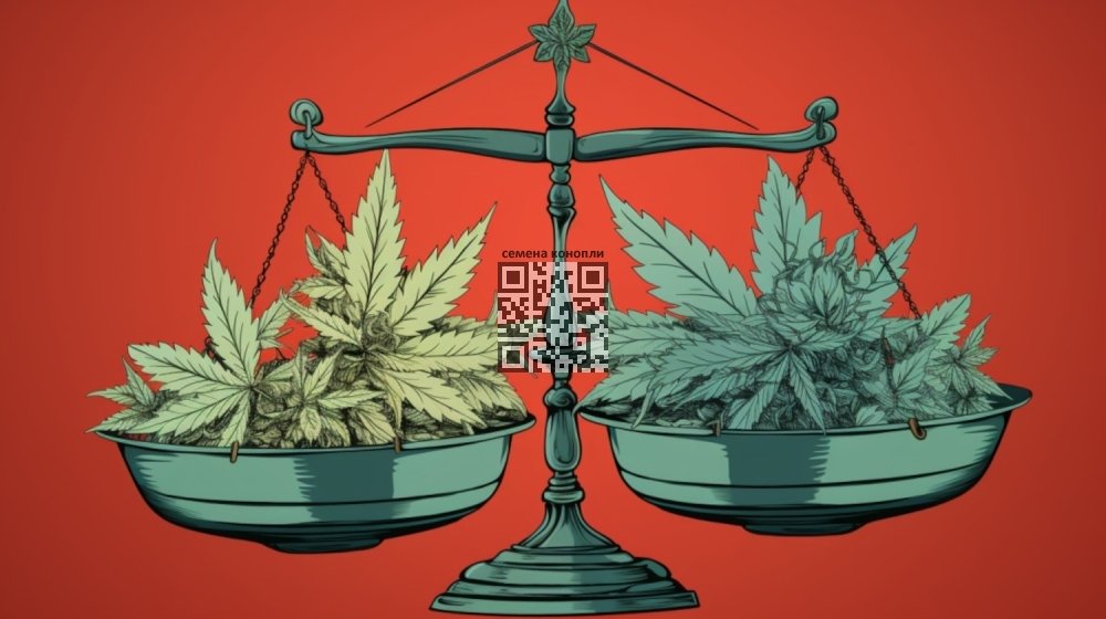 cannabis-weight.jpg