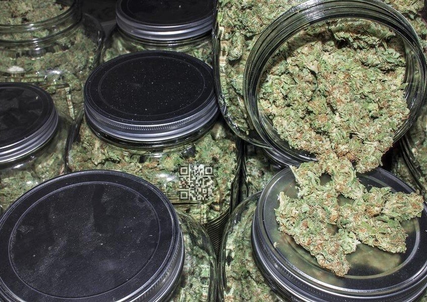 cannabis jars (1).jpg