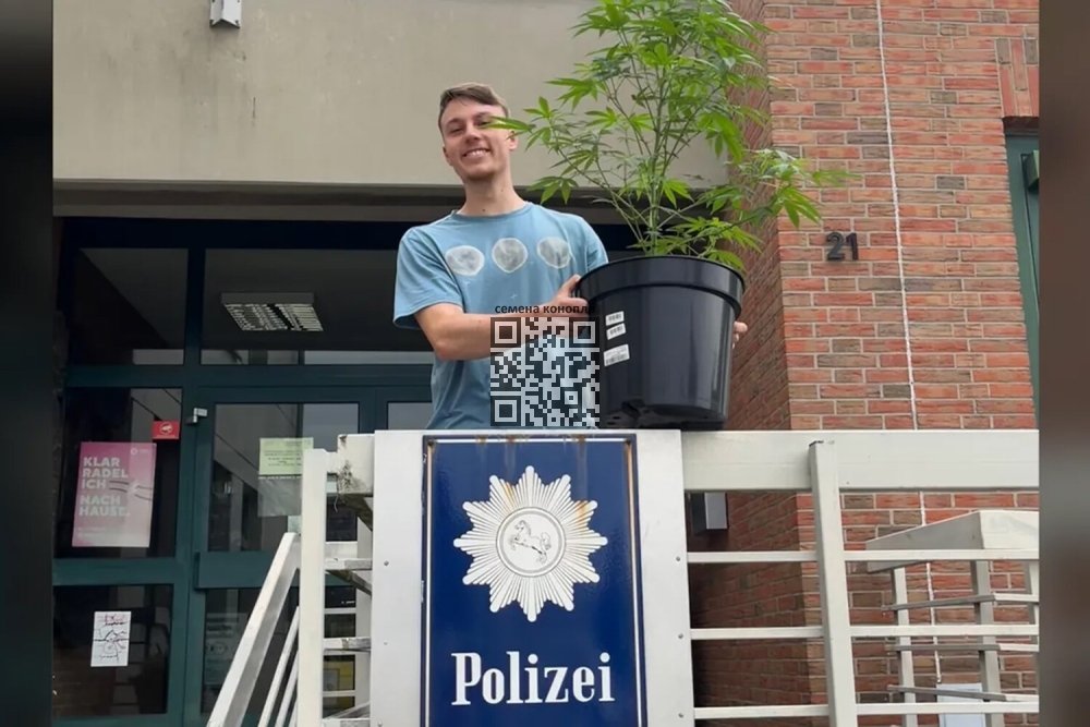 jonas-with-returned-cannabis.jpg