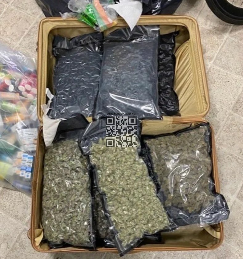 new-york-marijuana-seized.jpg