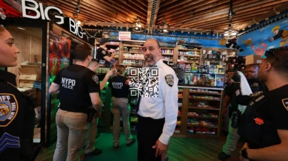 sheriff-raiding-illegal-cannabis-dispensary.jpg