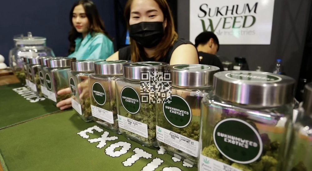 thailand-cannabis-dispensary.jpg