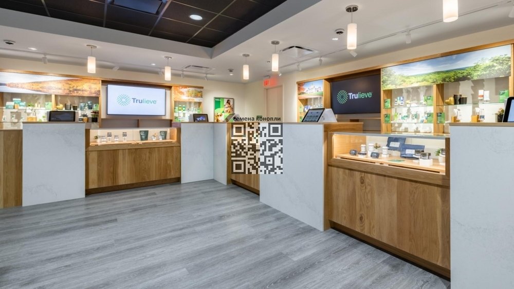 trulieve-dispensary-florida.jpg