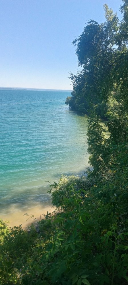 IMG20240811133805.jpg