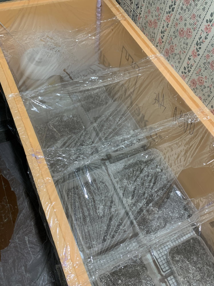 IMG_2830_cleaned.JPG