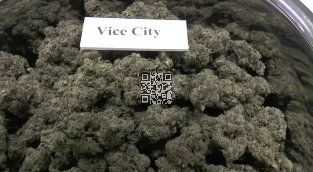 aeroponic-marijuana.jpg