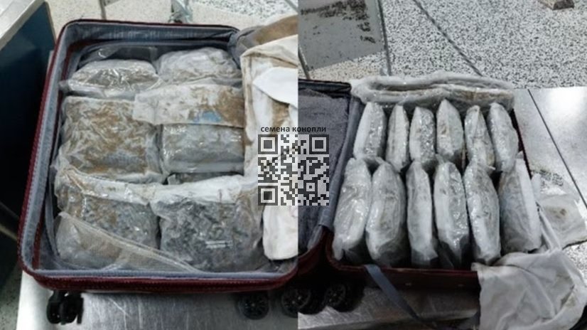birmingham-airport-cannabis-seized.jpg