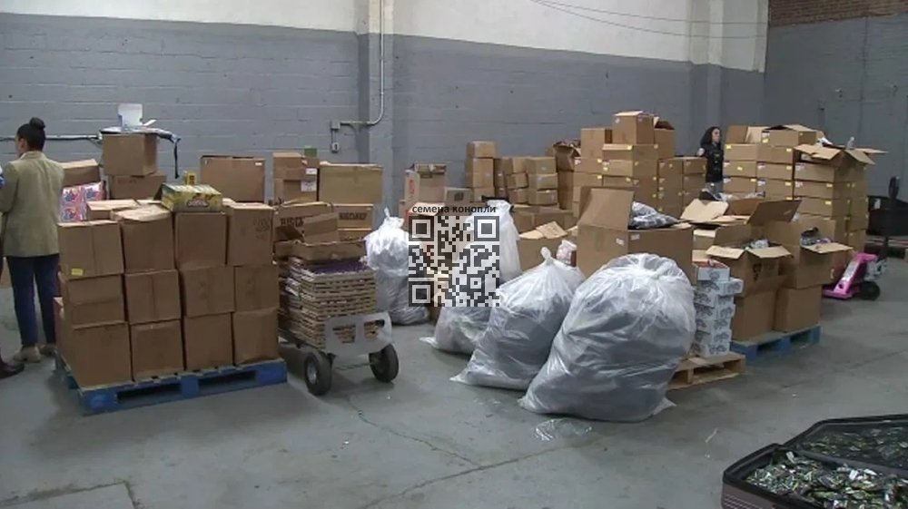boxes-bags-seized.jpg