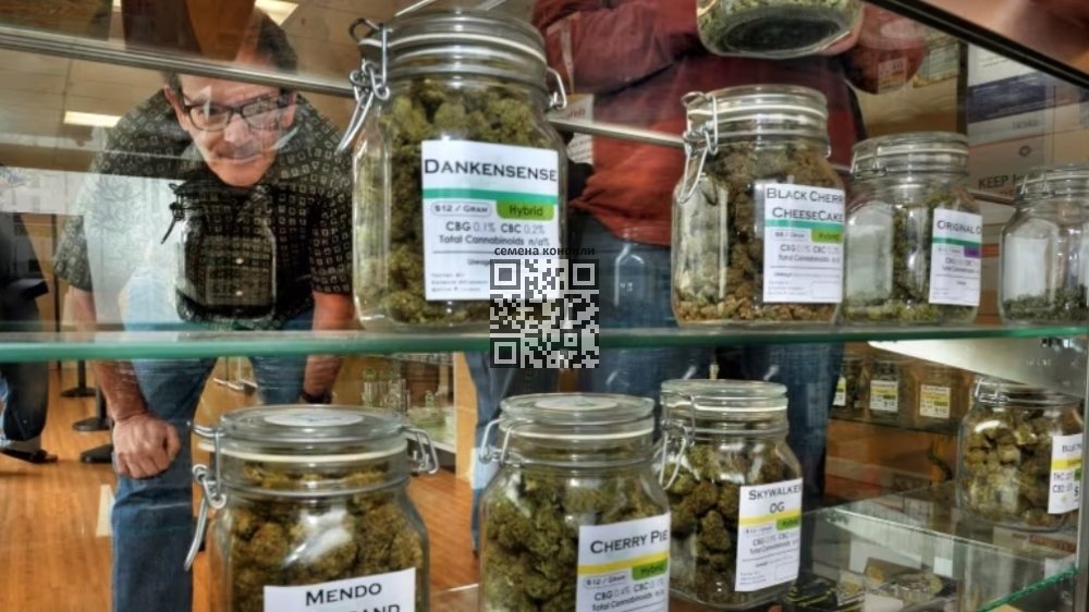 canada-cannabis-dispensary.jpg