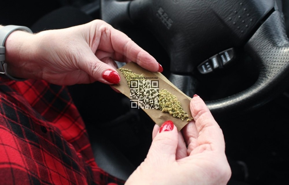 cannabis-driving.jpg