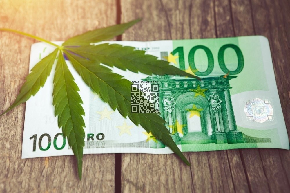 cannabis-euro-fine.jpg