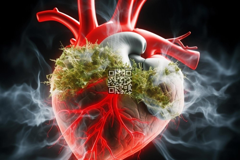 cannabis-heart.jpg