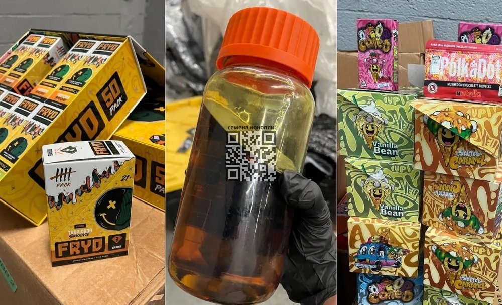 cannabis-seized-warehouse-new-york.jpg