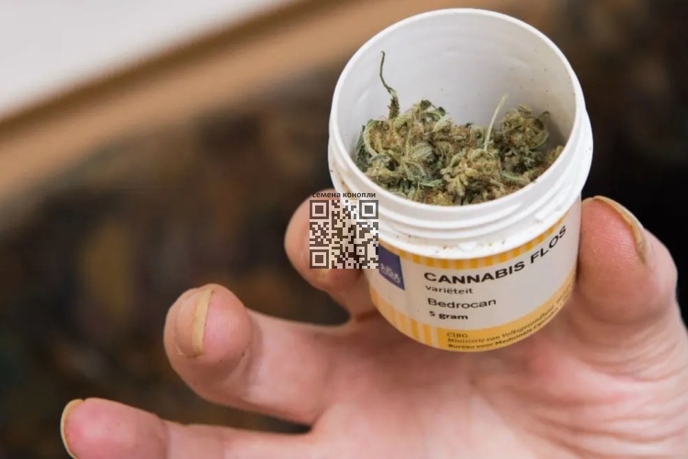 germany-medcan-pack.jpg