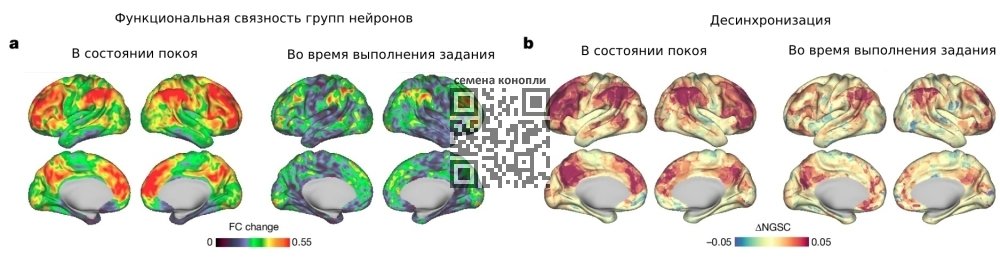 grounding-effect-psilocybin.jpg