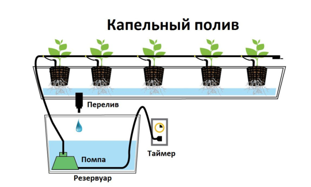 image.thumb.png.d2788a2f92bd2752289ea8d9b720eaf0.png