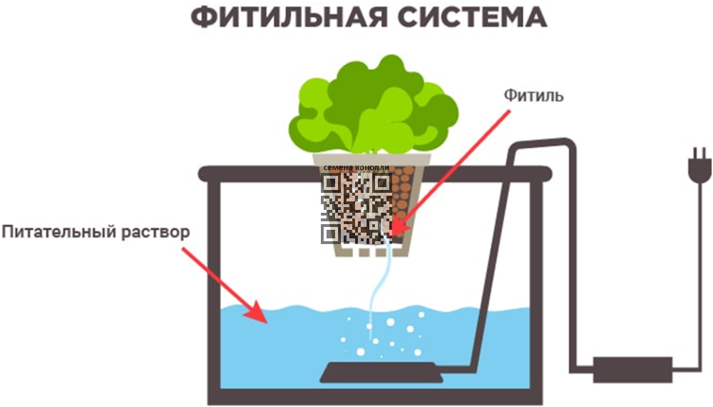 image.thumb.png.f731d5f01a4422142ec9c8068666a027.png