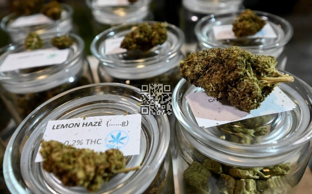 light-marijuana-italy.jpg