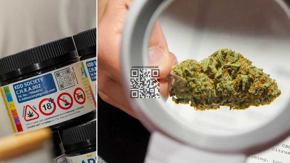 marijuana-malta-cannabis-club.png